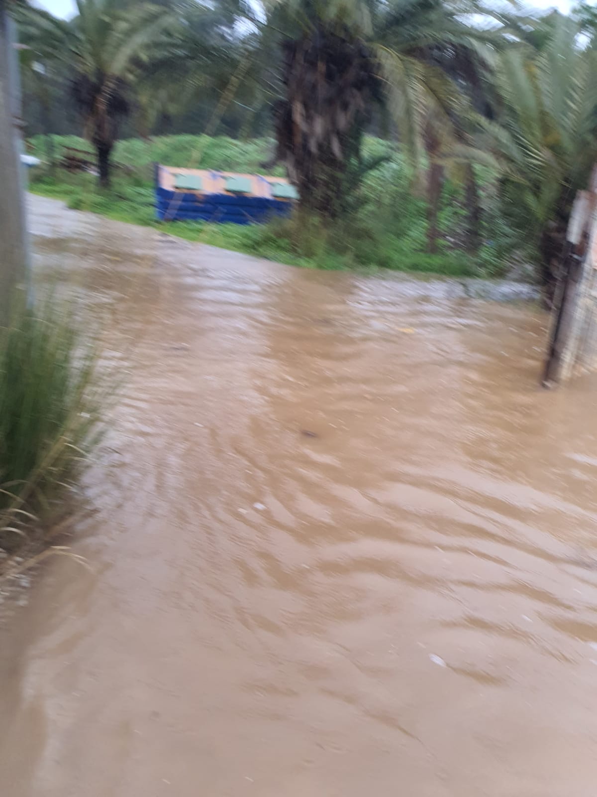 WhatsApp Image 2022-01-16 at 10.31.35 AM (2).jpeg